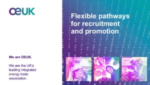 Diversity & Inclusion Recruitment: Flexible pathways for recruitment and promotion