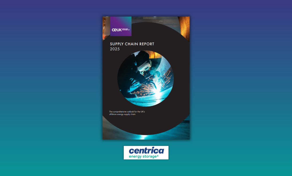 Supply Chain Report 2025: Centrica Energy Storage+ case study ...