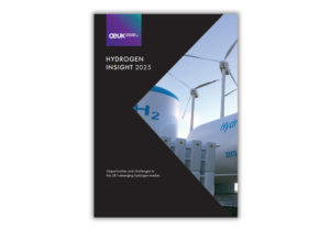 Hydrogen Insight 2025